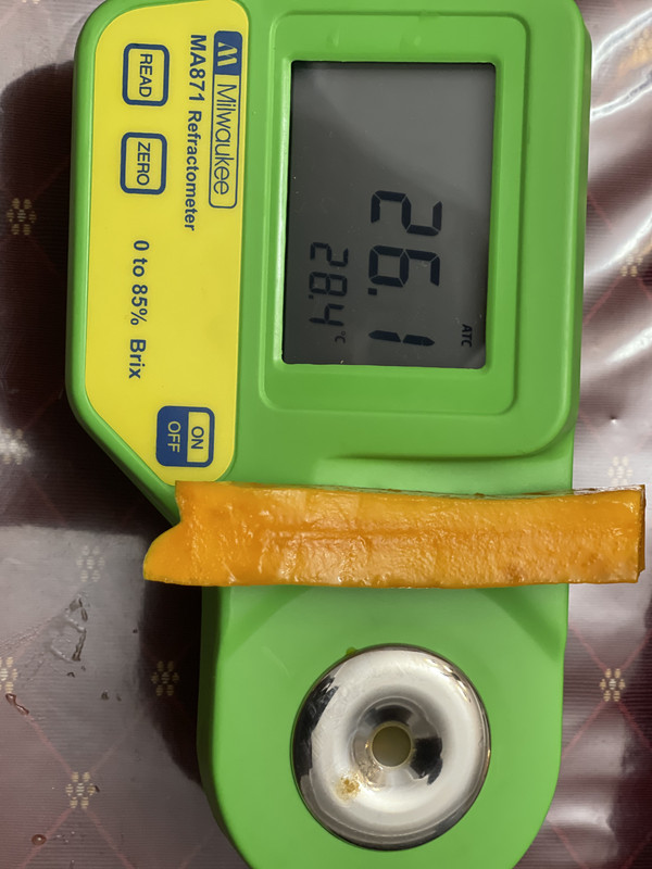 8CA2272A-CB04-4E5F-A5F5-7D9BC0699374