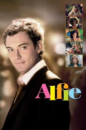ალფი / Alfie / alfi