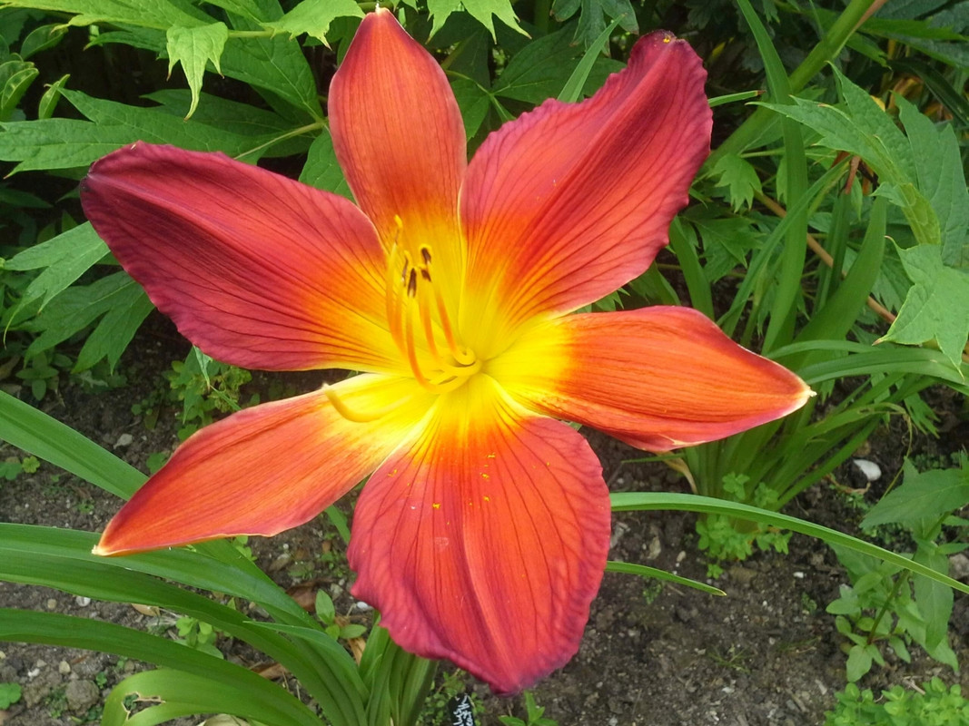 20240701_142810 (002)