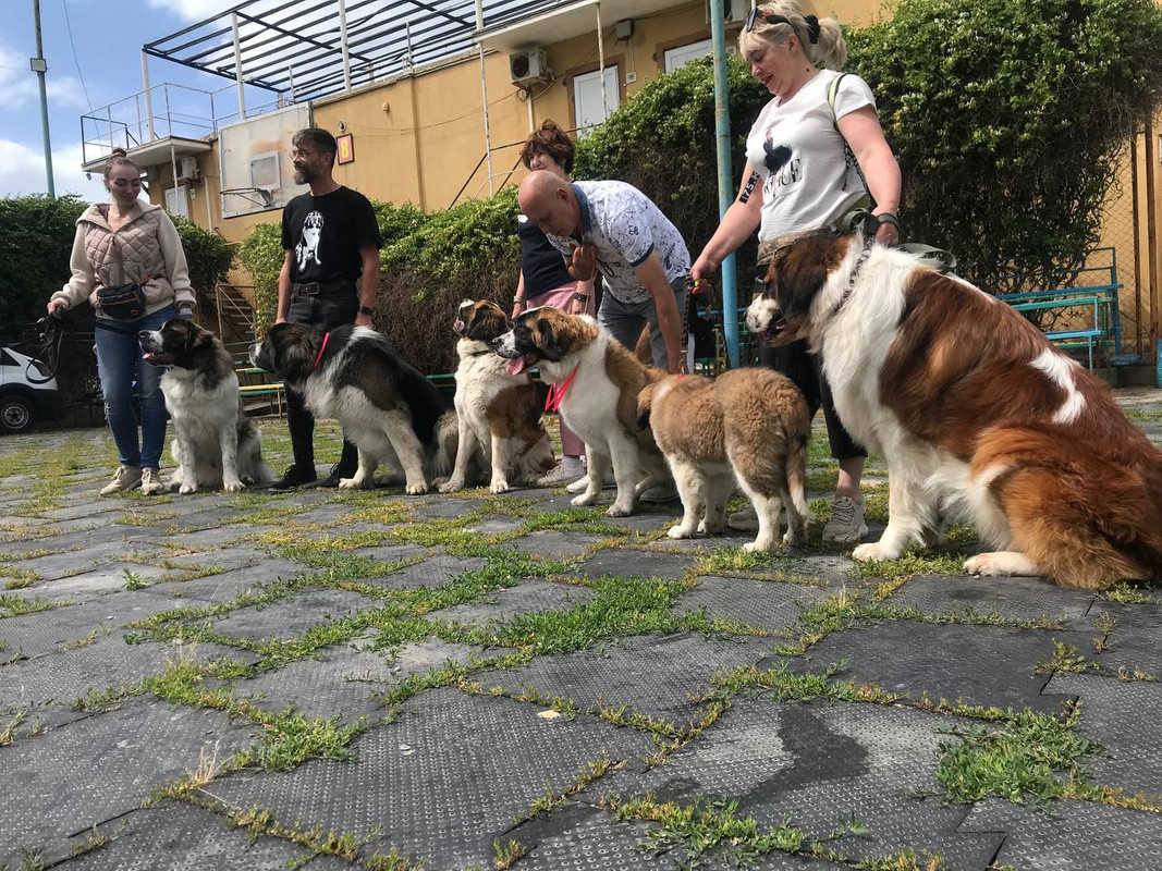 Севастополь 26.05.24