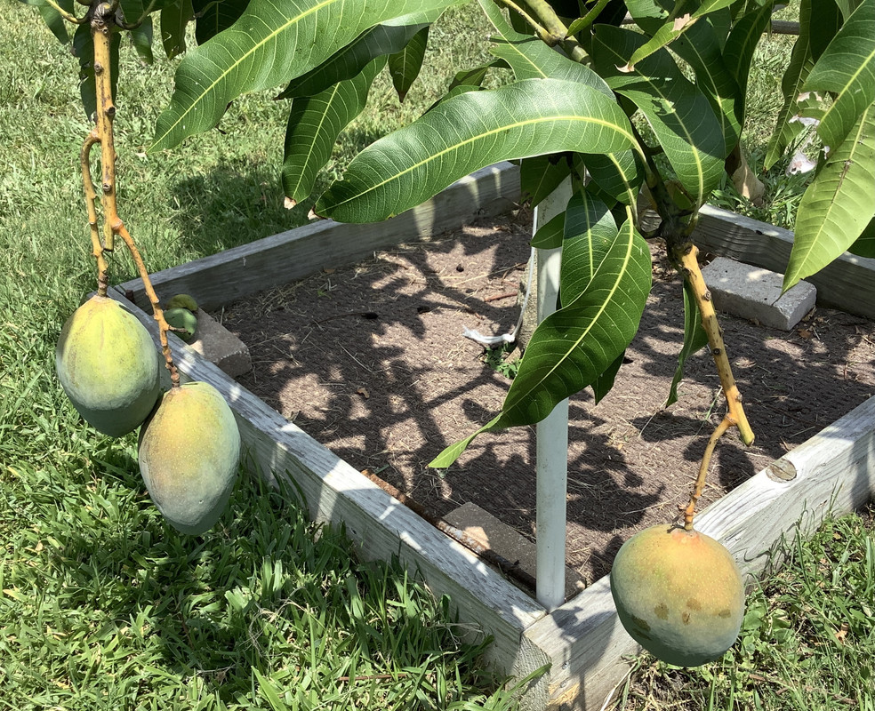 BE88CFF0-B10E-4E55-AFD5-24884600DFE3