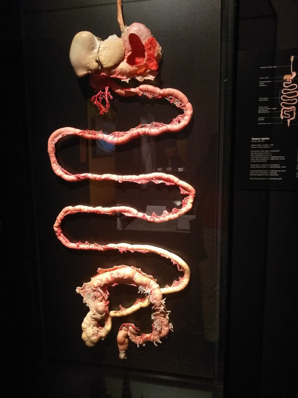 72440390_1128206110711127_8118819135380520960_n