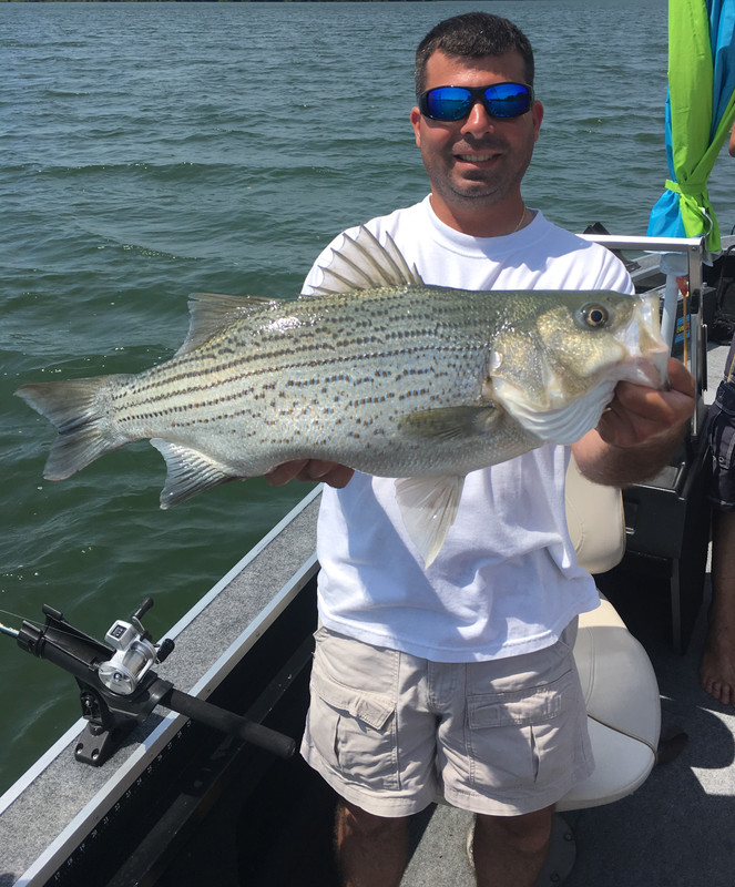 9D9CE5C0-DE71-498F-B1F7-C965C9F13E6E