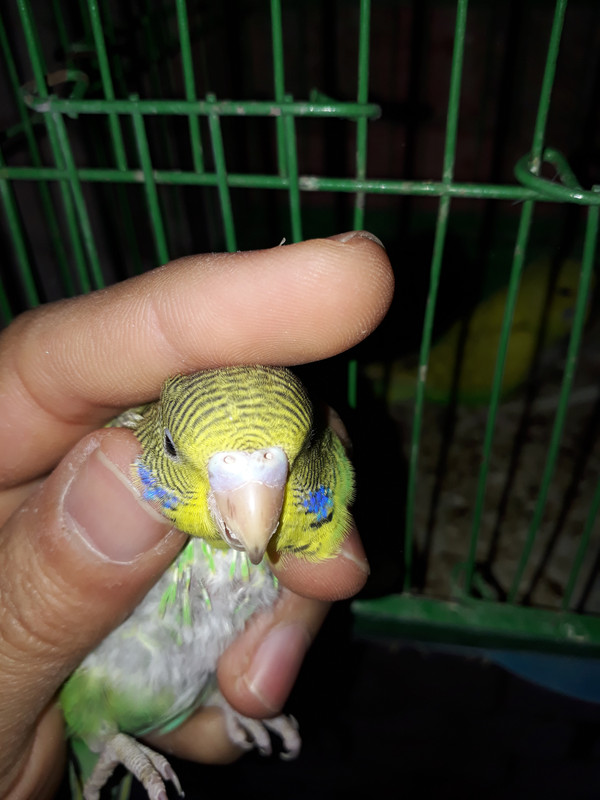 ٢٠٢١٠٣٢٧_٠٨٥١٣٨