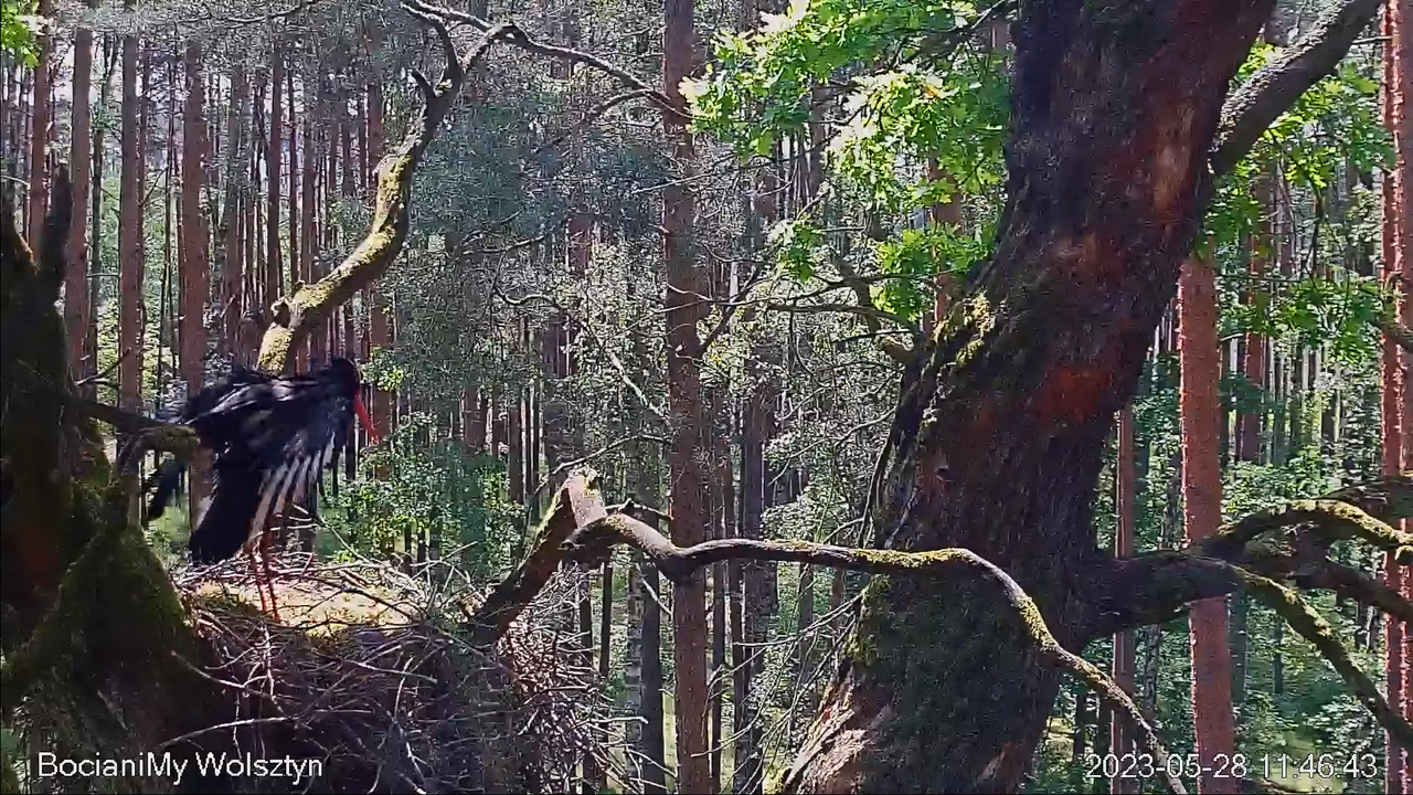 Zrzut ekranu (15140)