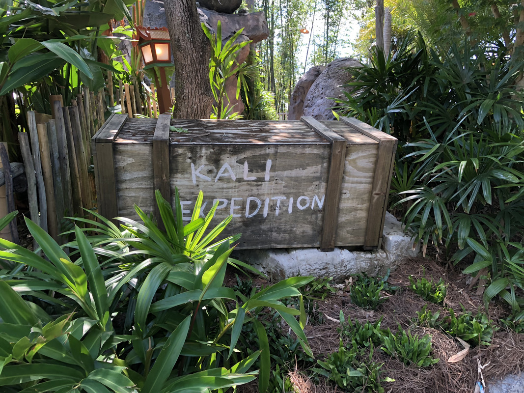 DDC04A50-24E1-4FDC-99CE-8316AA3A9473