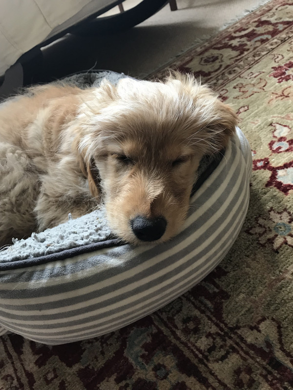 39529BA9-7269-4506-9FE2-70A93BB0CC8B