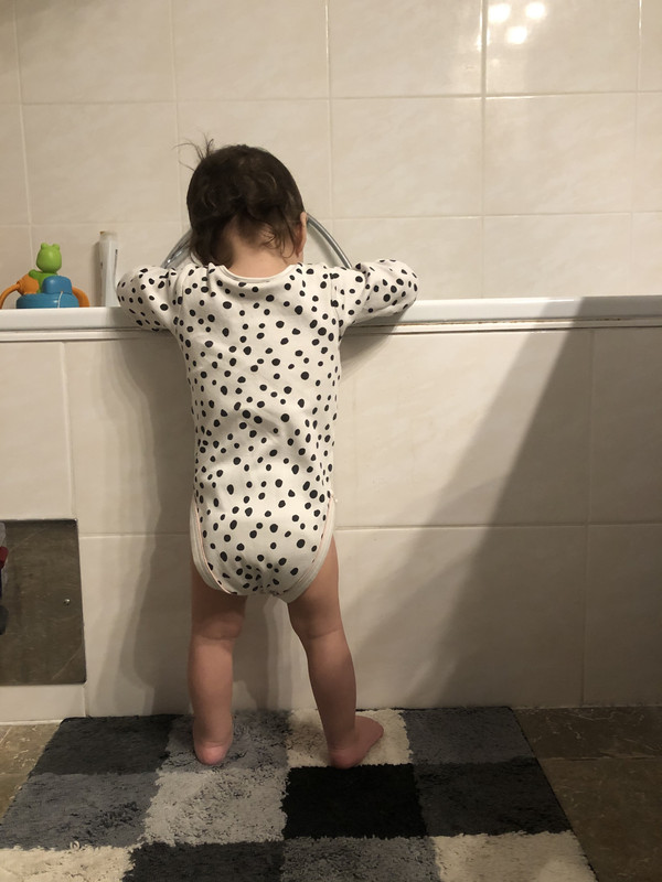 0D542E42-1071-4E89-A563-39DB409227C2