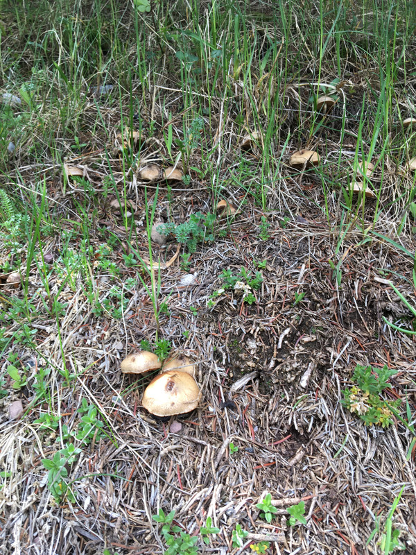 C76A21C1-EA16-4403-913C-8179CF00DEDD