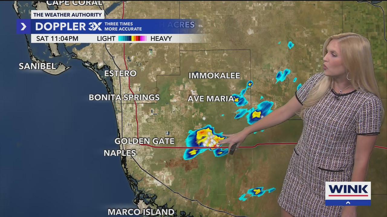 WINK News at 11_20250803_04000500.ts_snapshot_00.14.29.590