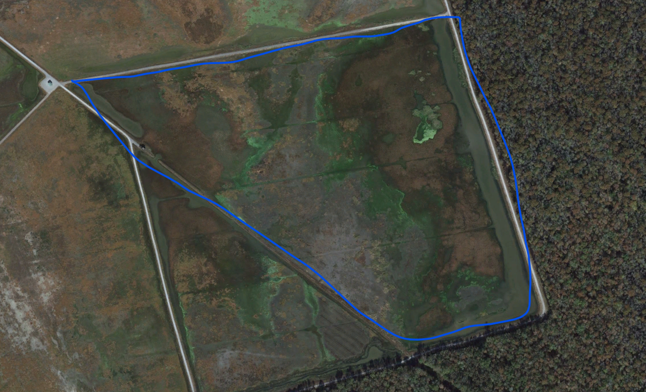 Screenshot 2024-10-01 093447