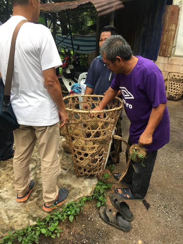 7181E57F-4D4C-4533-AA1E-E707AFF6145E