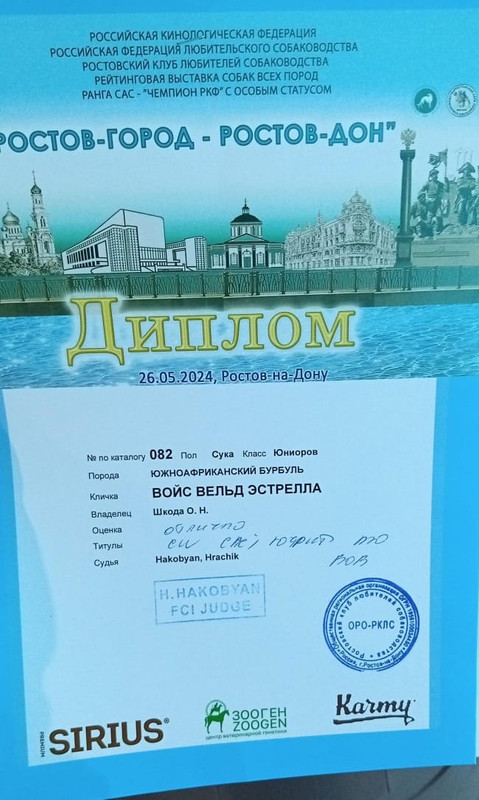 https://i.postimg.cc/bwdjGgCc/i3-HD9-Zra9-As.jpg