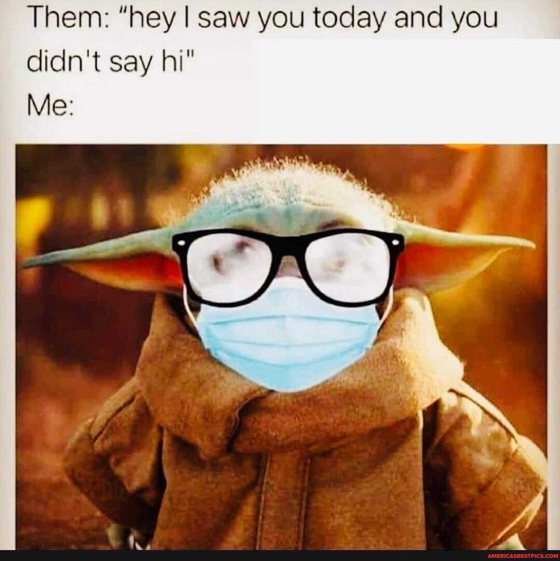 yoda.jpg