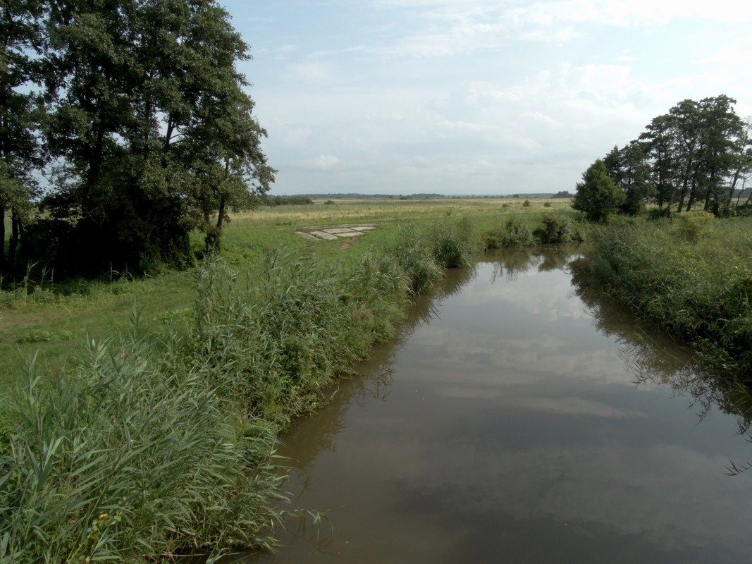 07.07 - DSC07362 (Czesio1)