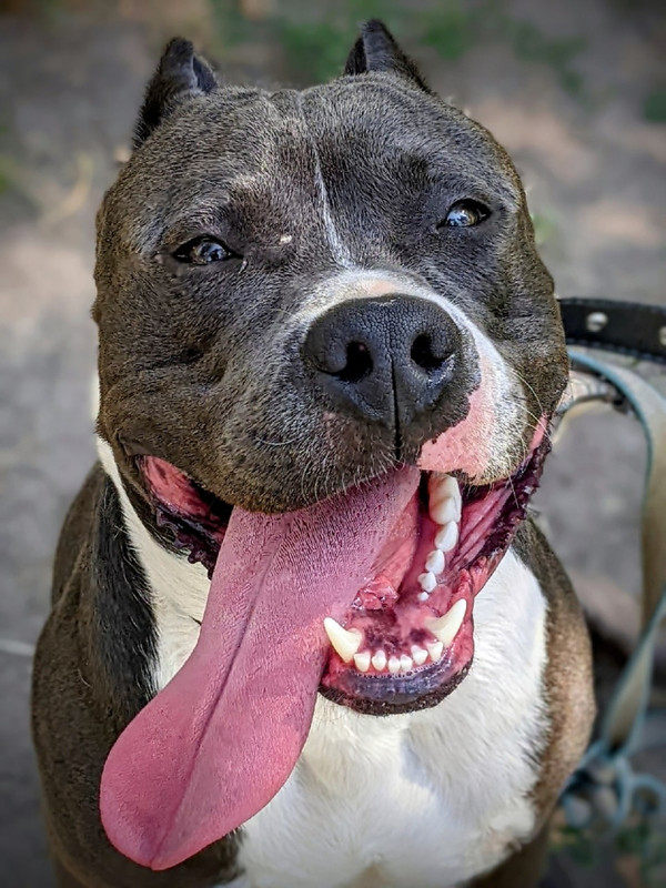 WhatsApp Image 2022-08-14 at 18.05.26 (1)