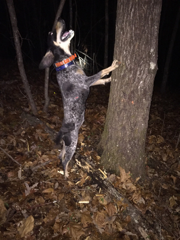 06249D47-4227-45F5-B388-7A60DA197108