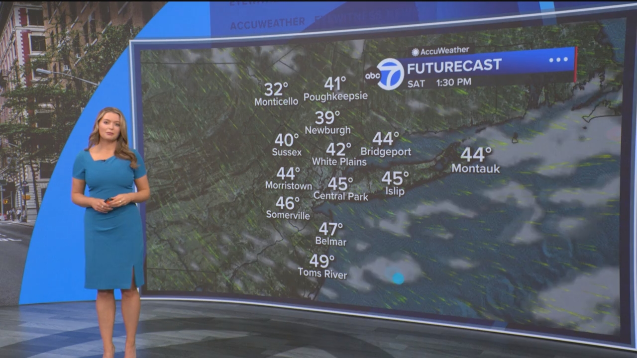 Eyewitness News Mornings at 10_20250307_15001600.ts_snapshot_48.42.674