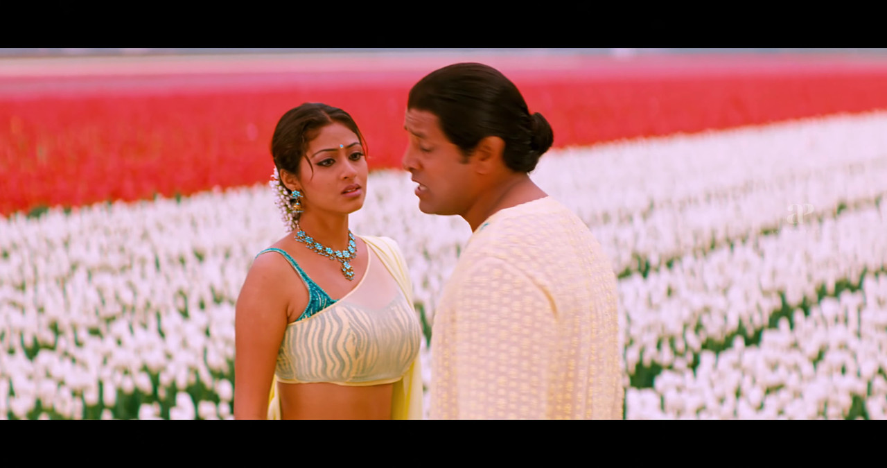 VideoCapture_20241122-195729