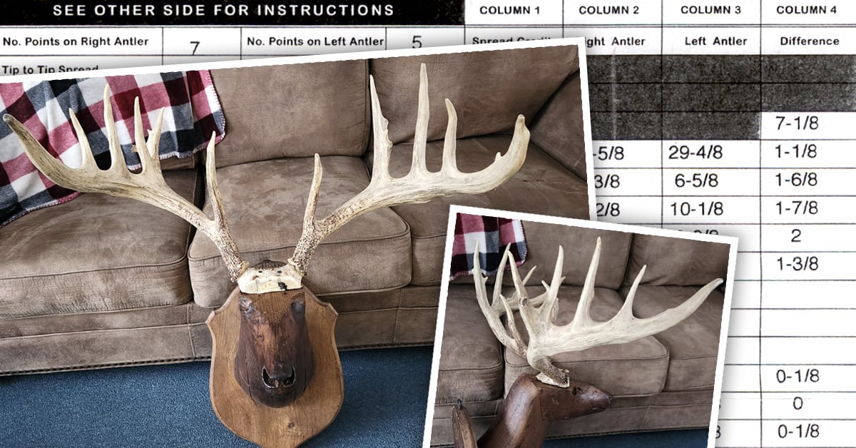 Fred Goodwin Buck Fred Goodwin Buck