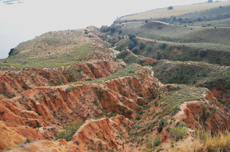 Barrancas de Burujón-2015/2025 - Toledo y sus pueblos-1996/2026 (42)