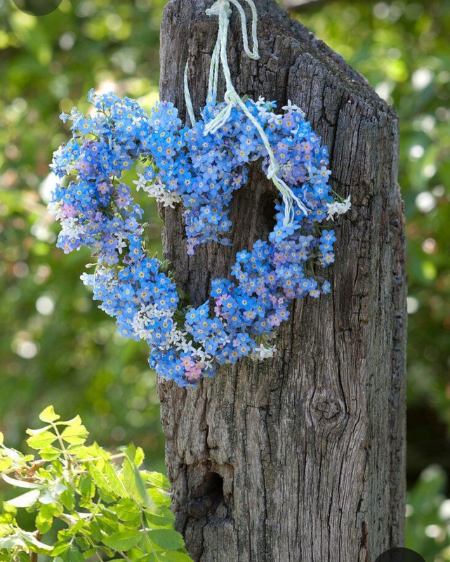 Screenshot_20240425_214609_Pinterest