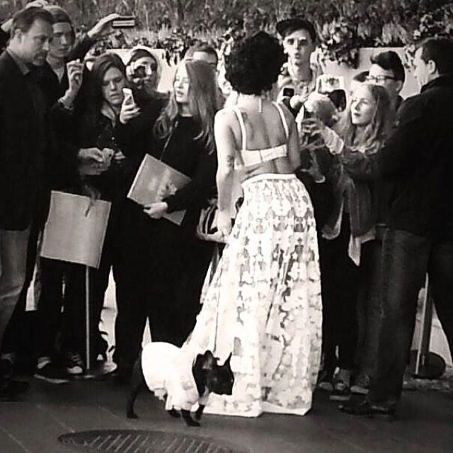 10-1-14-Instagram-004.webp