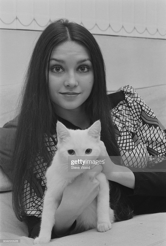 gettyimages-959220528-2048x2048