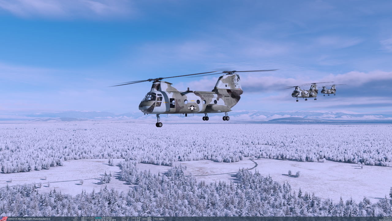 Digital-Combat-Simulator-Black-Shark-Scr