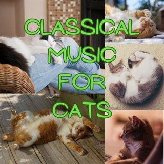 Classical Music for Cats (2023) .mp3 - 320 kbps