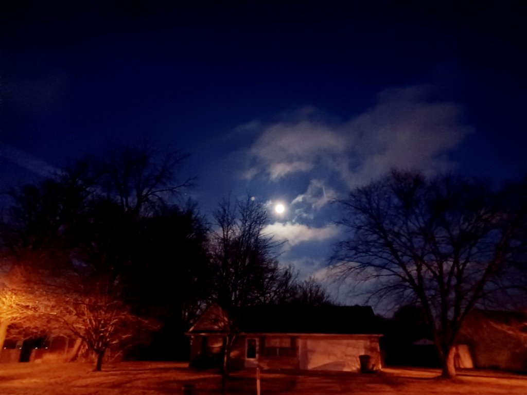 External inline image provided by member with no explanatory text