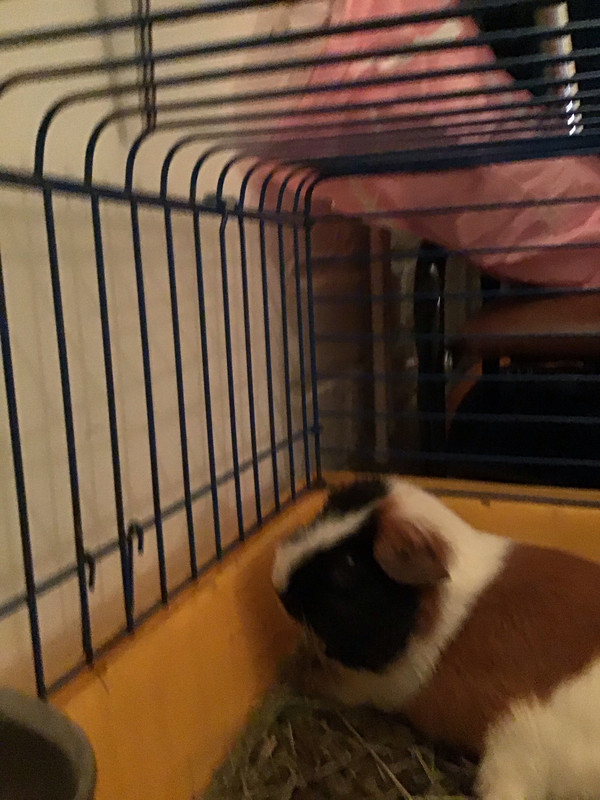 A65F2CD0-54C4-45B1-89FB-062001138784