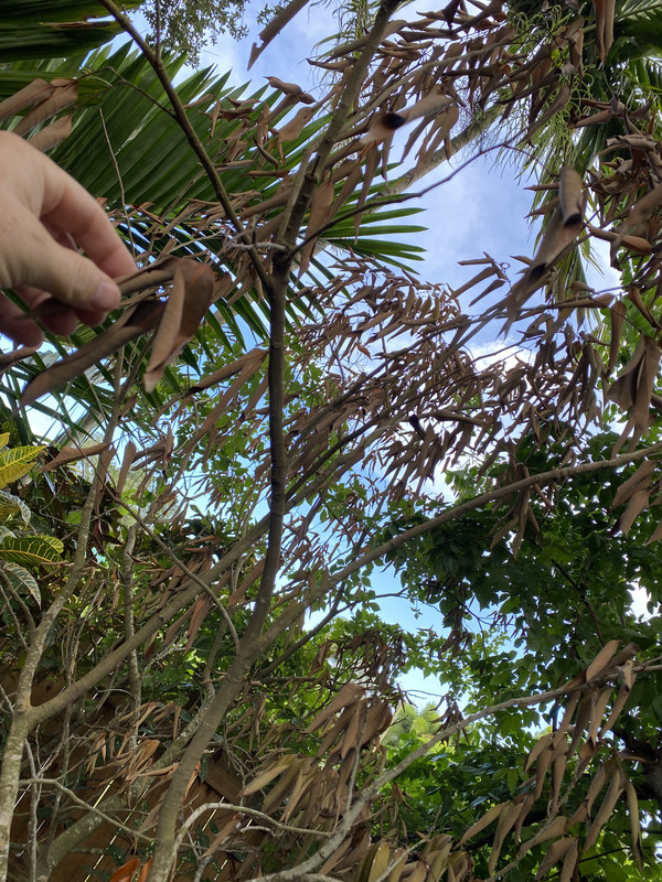 8CE22ADF-FA49-4B0C-8113-83A425724AE4