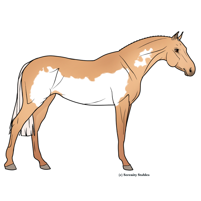 Untitled460-20240514205014.png