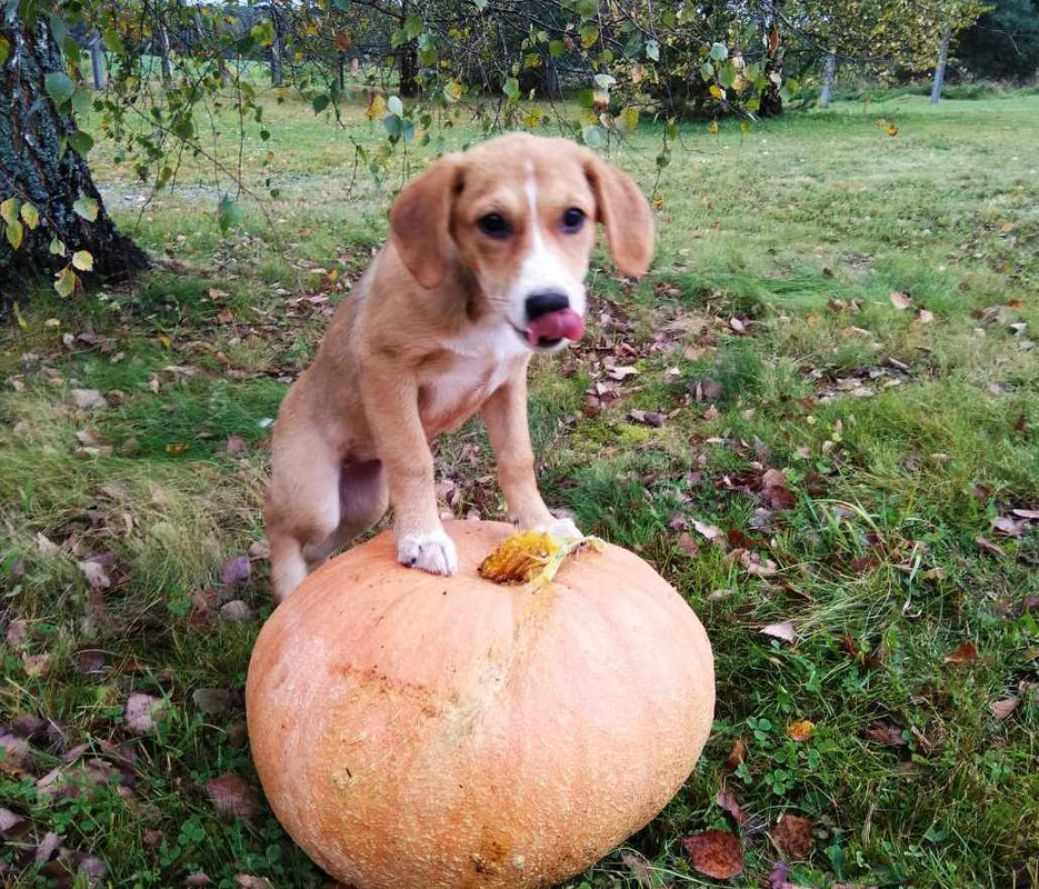 изображение_viber_2019-09-22_13-18-42