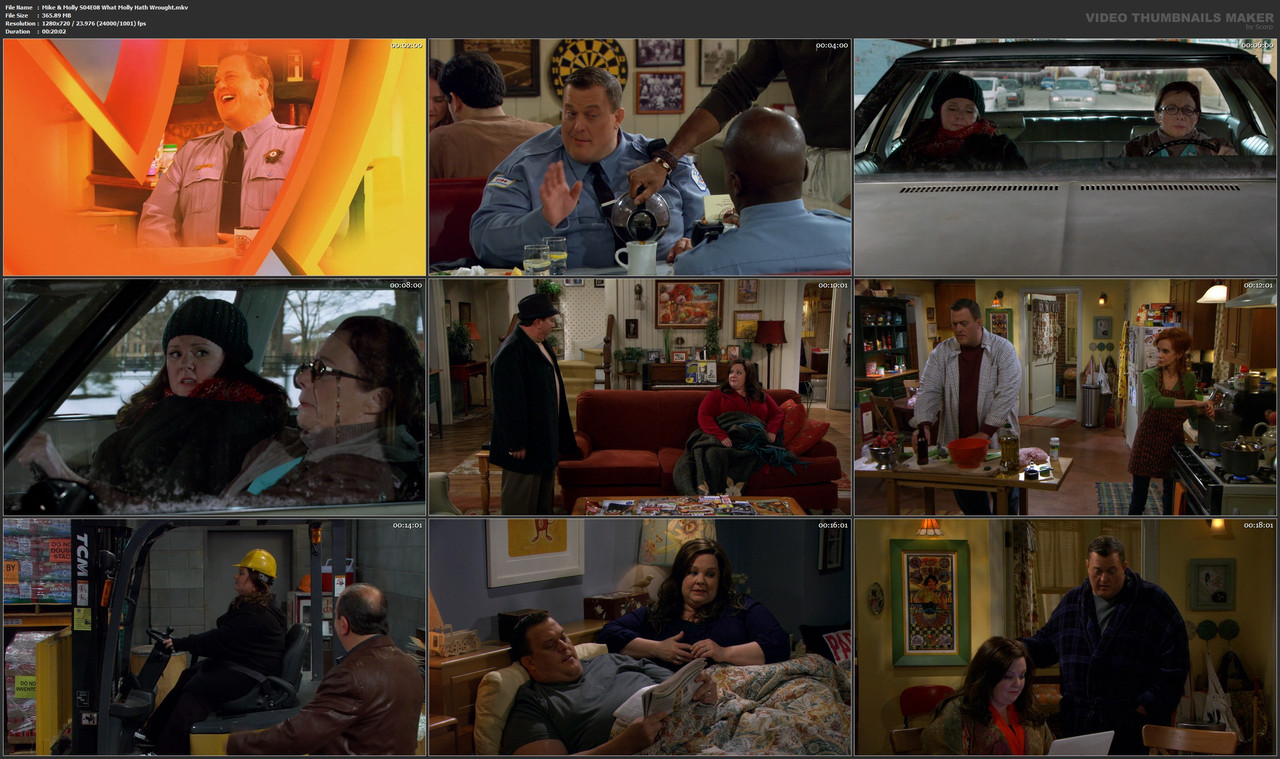 Mike & Molly S04E08 What Molly Hath Wrought.mkv