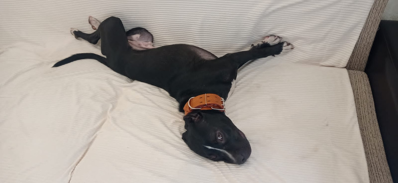 DB0908A5-C4A1-4F93-B2ED-883B11DD393B