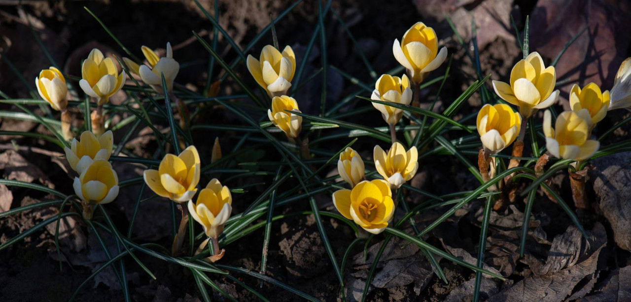 IMG-ed7d438d6ce35187275bacea4cf8a071-V