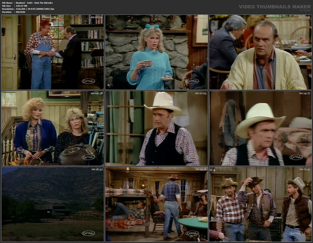Newhart - 5x03 - Dick The Kid.mkv