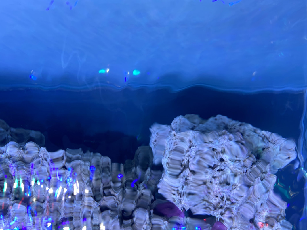 4C4E583B-75F7-42B2-8BE6-B28DB51562FC