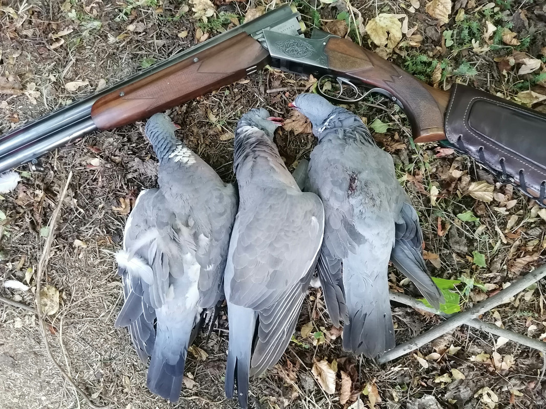 IMG_20250823_172149[1]