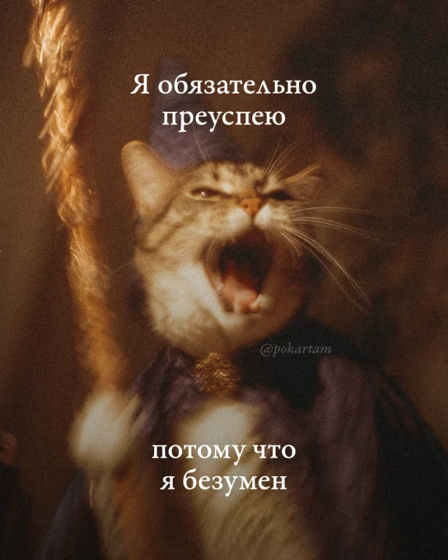 a01d75ca458ed7c30cede3f60ccfd095 webp