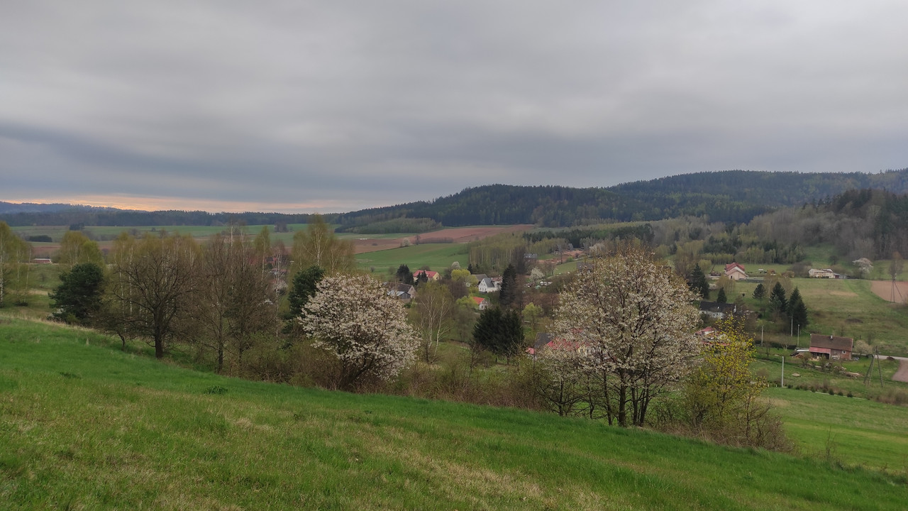 01.18 - IMG_20230429_072158 (Czesio1)