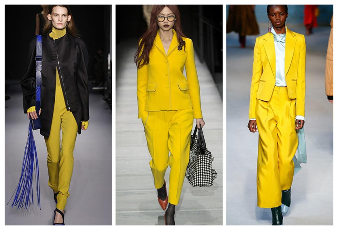 color trends