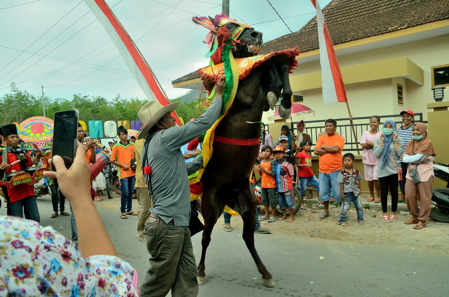 Танцующий конь