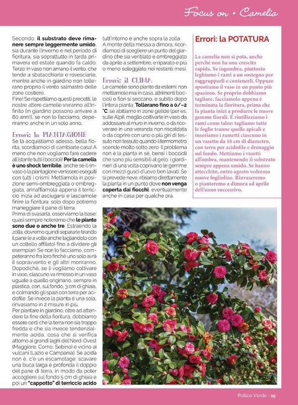 Pol Ver Mar-Apr 2022 (4)