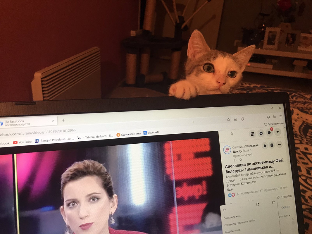 672B2FA1-9C01-4E5A-938B-6CFD1B44C9F5