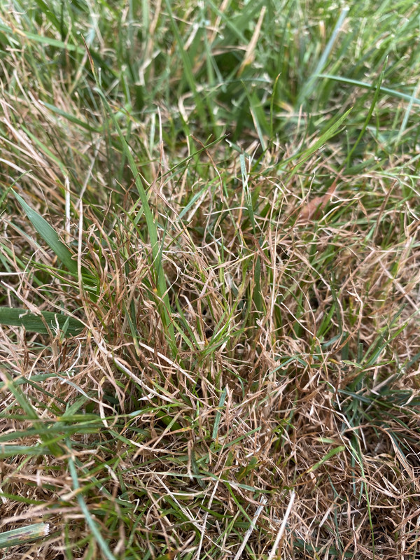 CD4B0A64-D414-45AC-BB8A-AC6931E919D7