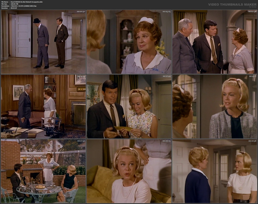 Hazel S05E04 Do Not Disturb Occupants.mkv