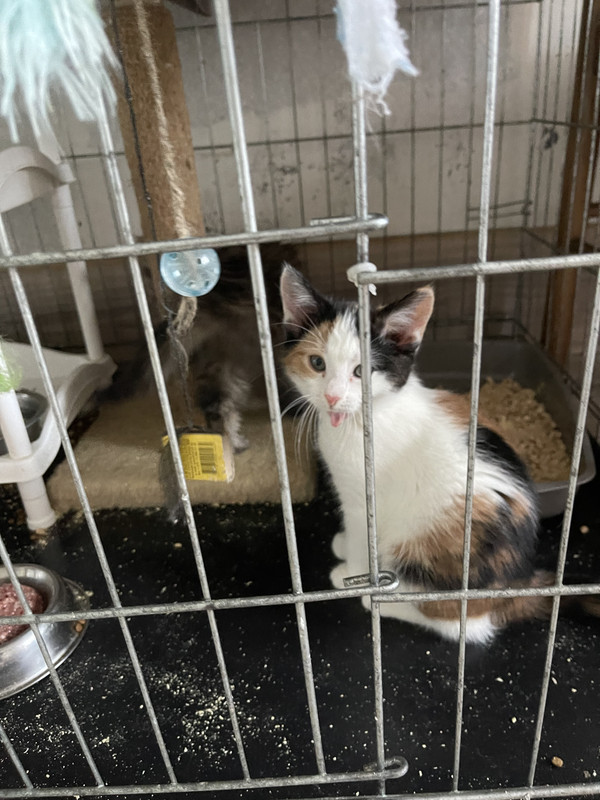 BC884147-C689-4150-B4A4-FCAEB277472C